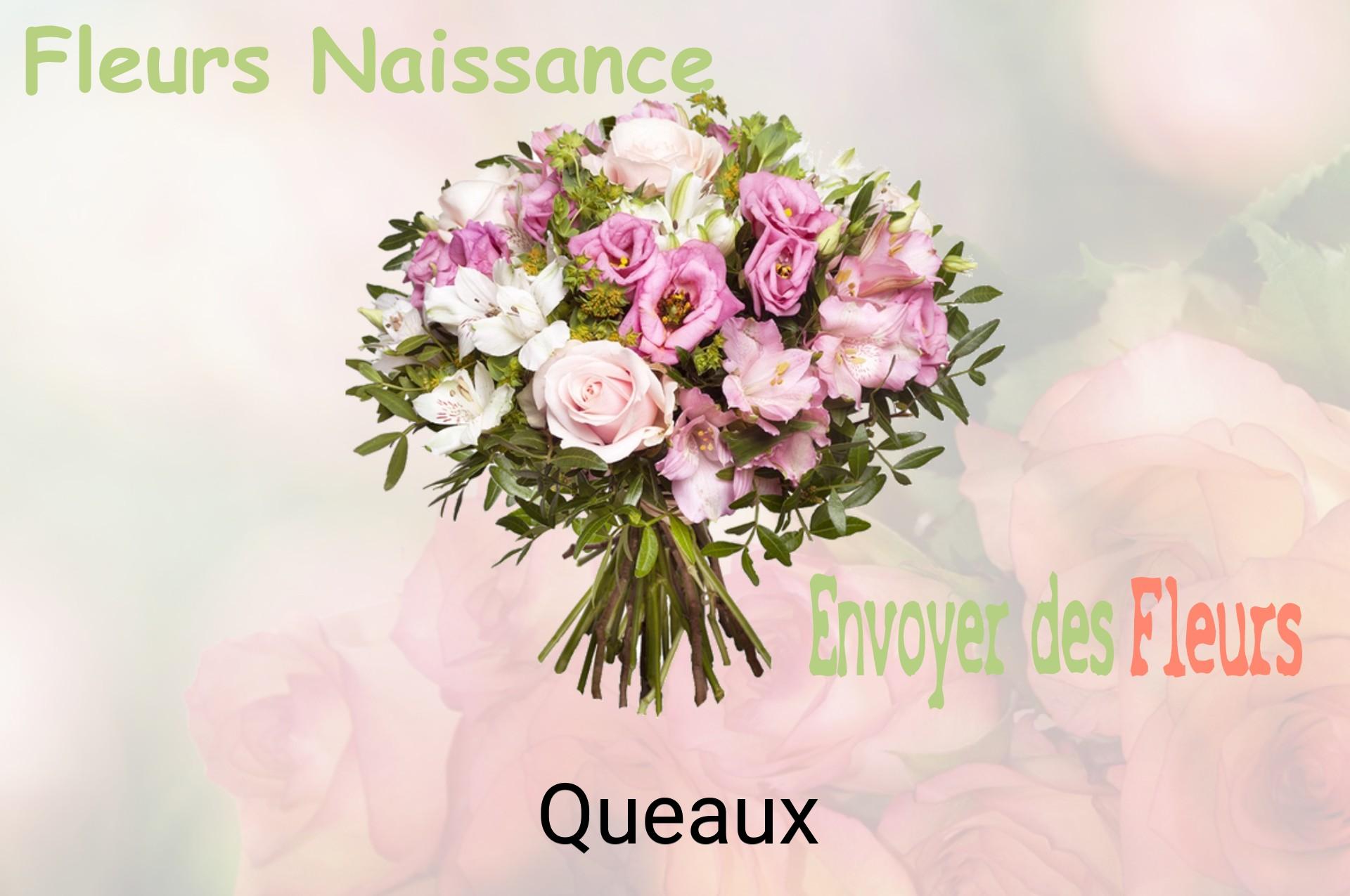 Bouquet de fleurs de naissance livré à Queaux